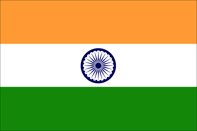Expressversand nach Indien immer günstig